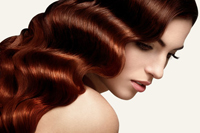 Shenzhen beauty hair curler